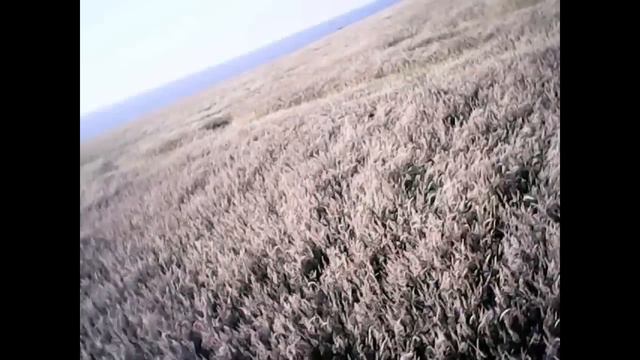Syma X8W Vs X8C Video Test смотреть онлайн