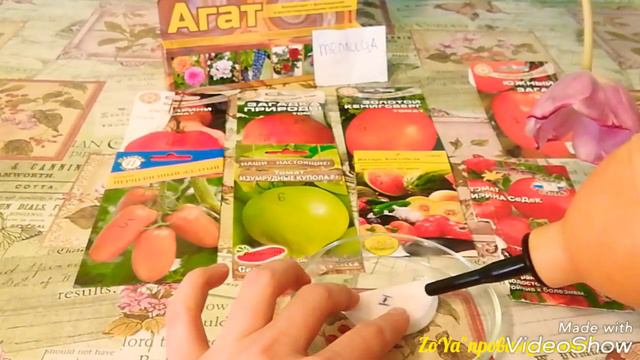 Сеем томаты для теплицы. Простой способ— хороший результат. СОВЕТЫ!! Московская обл.