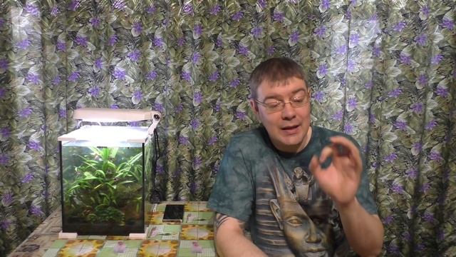 АКВАРИУМ И ОТКЛЮЧЕНИЯ ЭЛЕКТРОЭНЕРГИИ - что делать и как быть смотреть онлайн