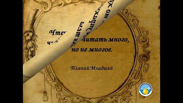 Цитаты про книги смотреть онлайн