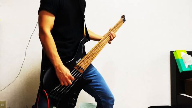 Nirvana - Negative Creep || Bass Cover смотреть онлайн