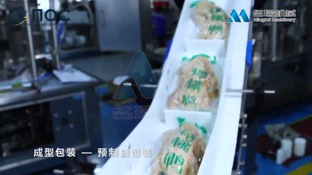Промышленное оборудование для упаковки пищ. продуктов: курица. птица, мясо, рыбы в вакуум Lin-Pack смотреть онлайн