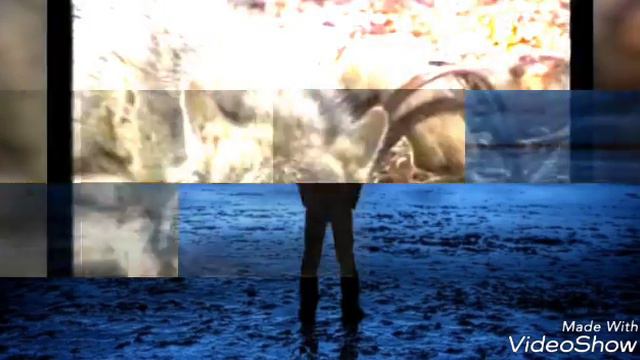 Е.Зензибар " Осенний каприз..." смотреть онлайн