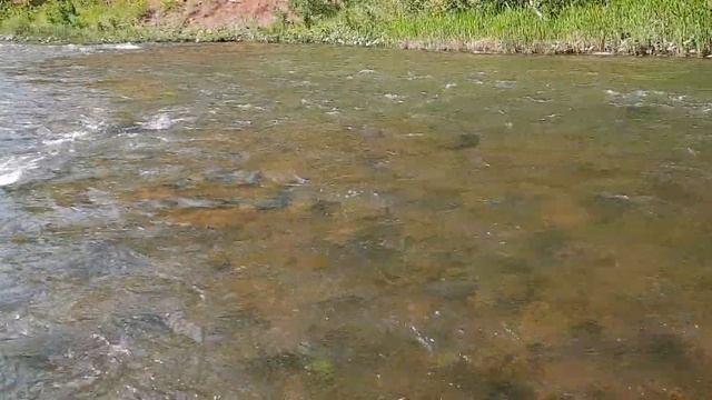 Река Зиган,д.Янгискайн,Гафурийский район, 2021год май смотреть онлайн