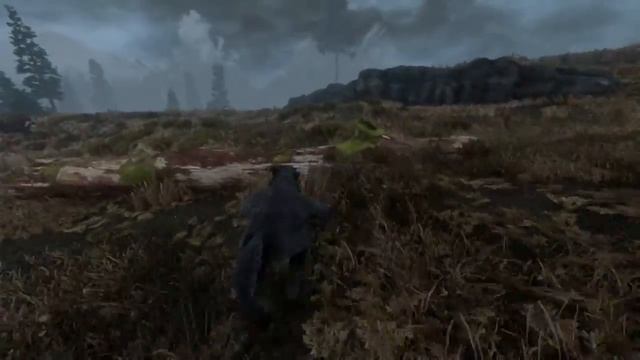 Skyrim SE : Моды которые заставят вернутся тебя в Скайрим. смотреть онлайн