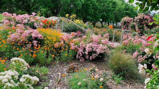 Step Inside a Secret Rose Garden 🌸🌼🌿 so Beautiful in the Spring | 4K Garden Tour смотреть онлайн
