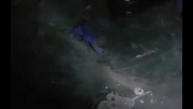 НОЧЬЮ В ГАРАЖЕ БОРЮСЬ С АВСРАЛИЙСКИМ ЯДОВИТЫМ ПАУКОМ смотреть онлайн