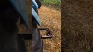 Двусторонний гидроцилиндр на Т-40