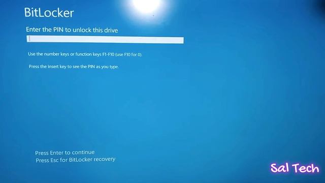 Navigating Windows: Bypassing BitLocker Blue Screen in Windows 10/11 смотреть онлайн