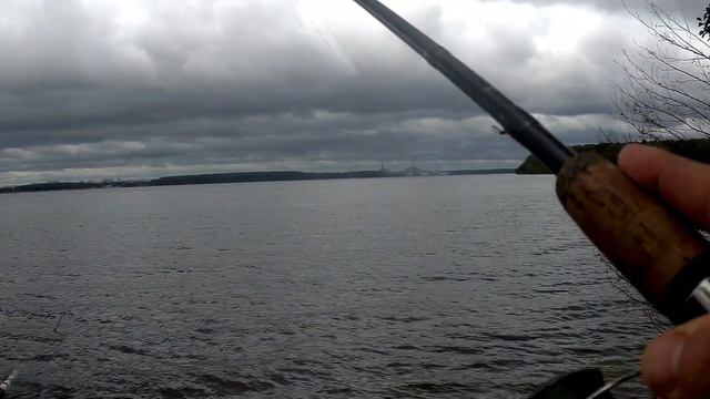 окунь на отводной - отличный клев некрупного окуня на Десногорском водохранилище смотреть онлайн
