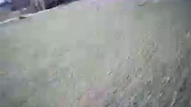 rc helicopter mjx t64 test flight смотреть онлайн