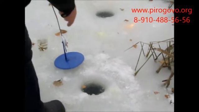 Платная рыбалка в Пирогово (КОРГАШИНО) смотреть онлайн