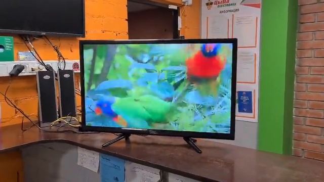 Телевизор Polar P28L21 2018 LED смотреть онлайн