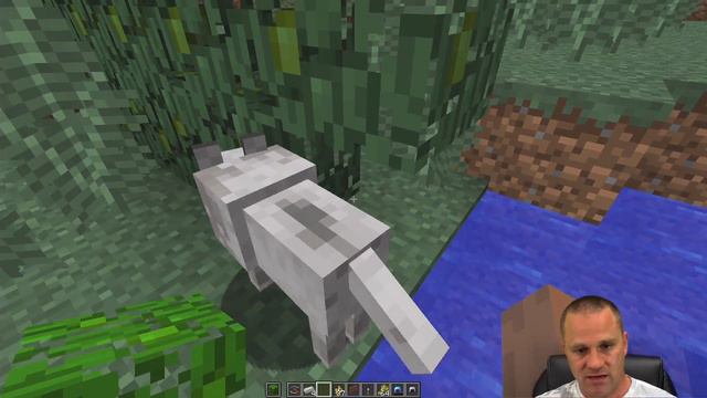 The Kitty House | Minecraft EP-14 | Gaming With Shawn Davis смотреть онлайн