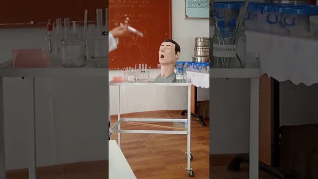 Исследование мокроты/ преподаватель: А.Кудиева смотреть онлайн