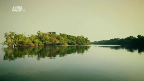 Неизведанные острова - Бразилия. Амазонка (Brazil. Amazon)