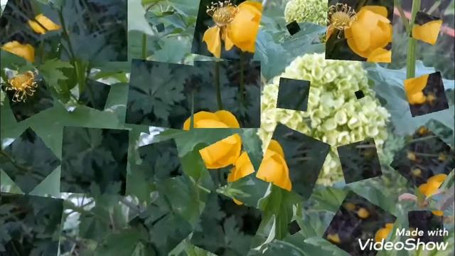 Цветочный микс Дела дачные смотреть онлайн