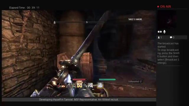 ESO Tamriel VR 6 Argonian Bangkorai missions(25)