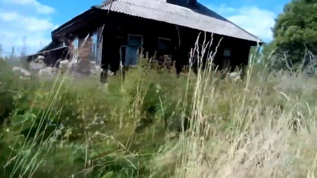 Камчатка смотреть онлайн