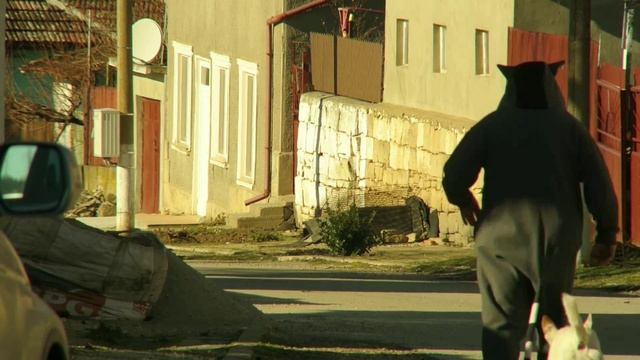 Richard The Raccoon
Trans Animal Rights