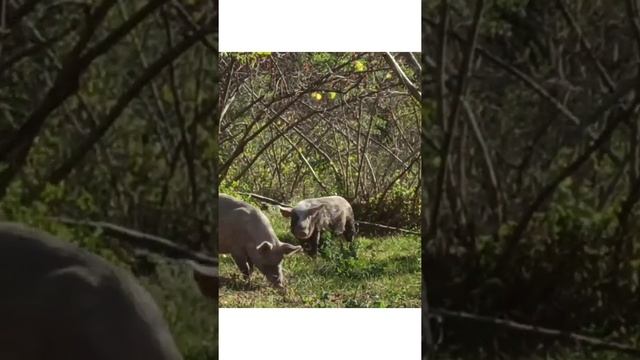 Итоги августа в видео смотреть онлайн