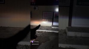 Как светят Y7d мини линзы против галогена