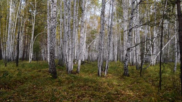 Окончание моего рассказа о службе в Советской армии. ГСВГ. 2-я ТА. Глава 22. Дорога домой. смотреть онлайн