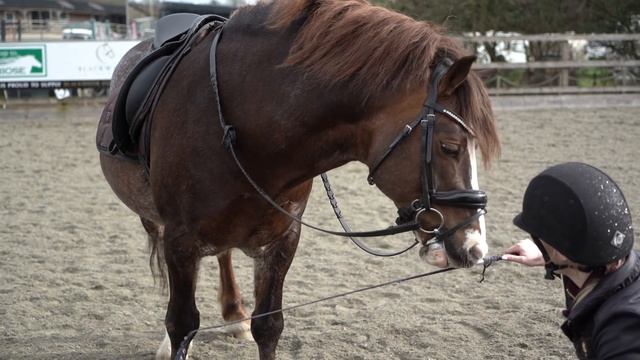 RIDING 3 PONIES IN 1 DAY! 10 HOURS AT THE STABLES! * EXHAUSTING * смотреть онлайн