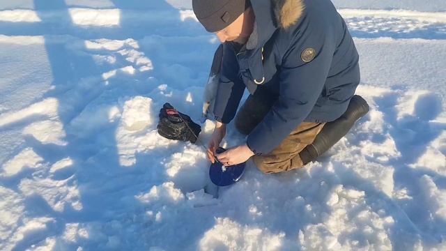 ЗАСАДИЛ ТАЙПАН В СЛУЗ / РЫБАЛКА НА КРАЙНЕМ СЕВЕРЕ смотреть онлайн