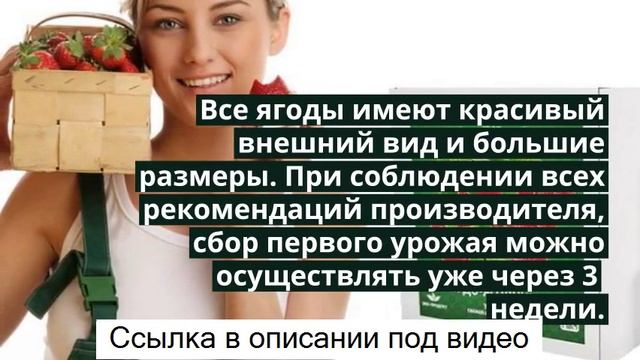 Сказочный сбор чудо ягодница клубника - чудо-ягодница «сказочный сбор». смотреть онлайн