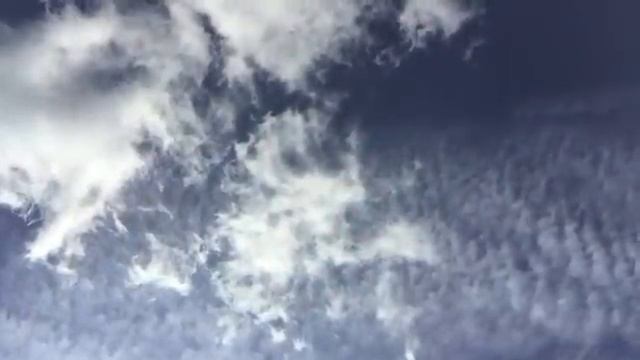 iPhone 6 Plus Crushed By Tank - Will it Survive? смотреть онлайн