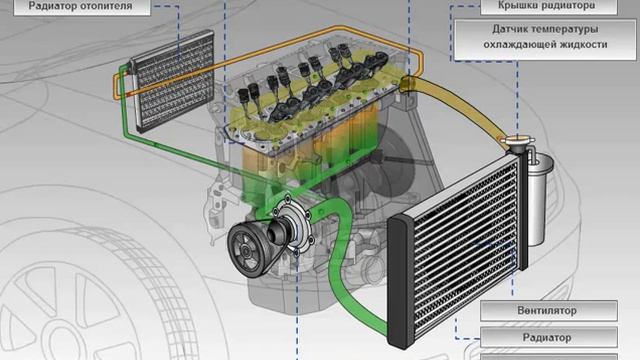 2media7-31 смотреть онлайн