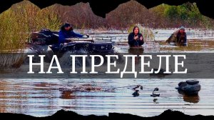 Спасаем друзей