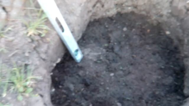 Посадка вегетирующего саженца винограда весной смотреть онлайн