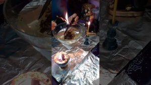 Ритуал на очищение домашних животных от негатива.