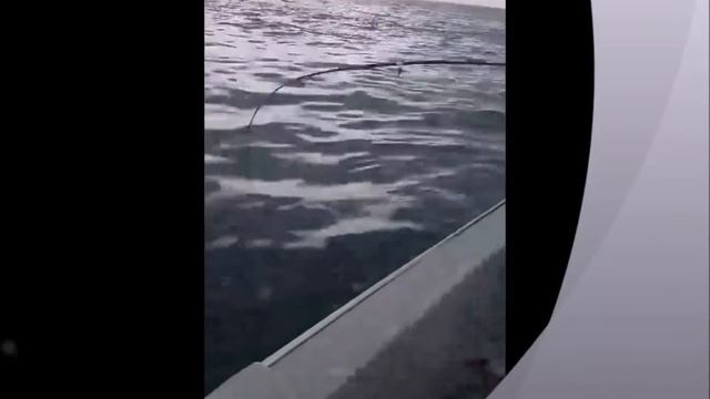 Рыбалка в открытом океане 2 смотреть онлайн