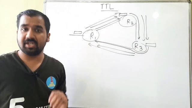 TTL Field in IPV4 Header Explained in Hindi l Computer Network Course смотреть онлайн