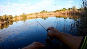 Ловля карася на мормышку.  Dayo Liropus 198 0.2-0.8 / Dayo Prestige 198 0.2-0.8.