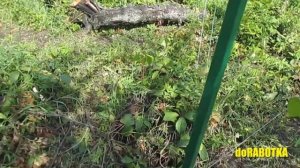 ✅ Забор из сетки Рабица своими руками. Простой вариант от doRABOTKA