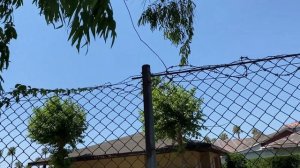 GREEN MAX HOTEL - Территория Отеля День (Hotel area Day)