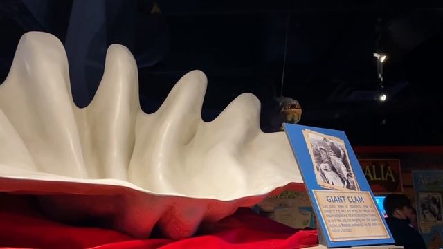 Аквариум в Гатлинбург. Начало снежного шторма. Декабрь 2020 смотреть онлайн