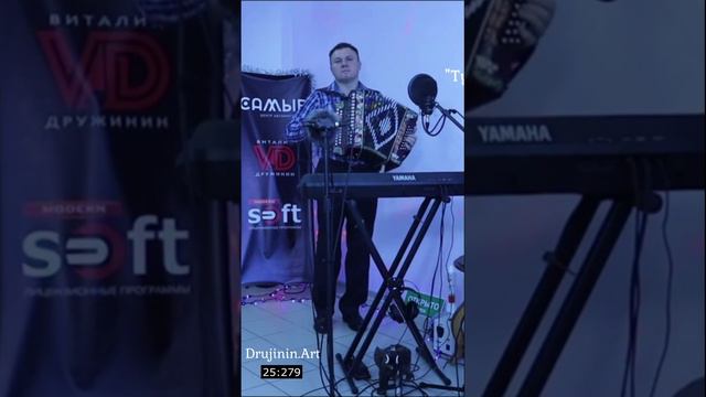 § "Турнала" ("Журавли"), гармонь 🎼 Виталий Дружинин #гармонь #harmony #garmon #кавказская смотреть онлайн