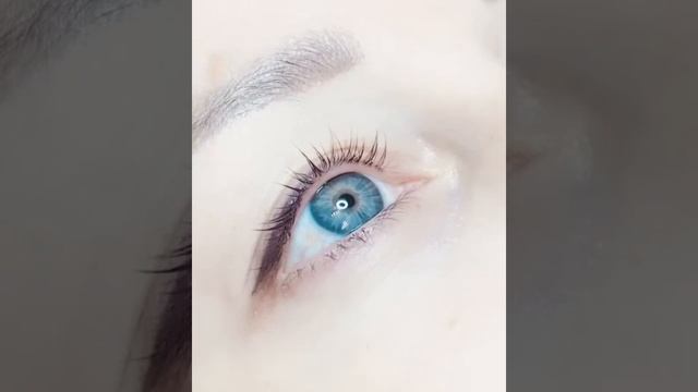 VELVET ресниц смотреть онлайн