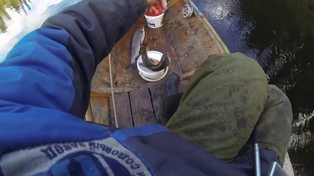 Ловля Хариуса. р Вишера. смотреть онлайн