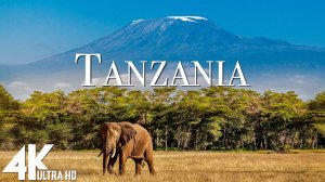 Танзания и Серенгети - Расслабляющая музыка и красивые виды Full HD