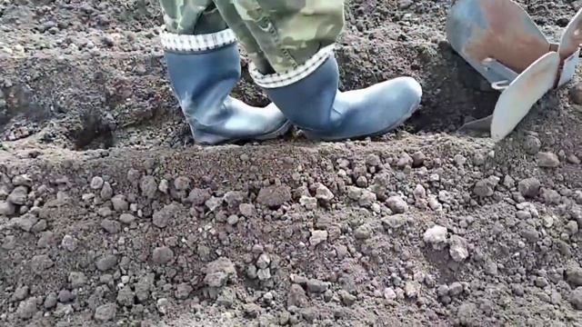 Посадка картофеля мотоблоком смотреть онлайн