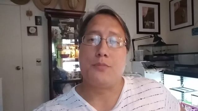 The Python Pit - A Personal Reply From Brian Barczyk смотреть онлайн