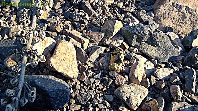 14 Лежит красный камень среди всех камней смотреть онлайн