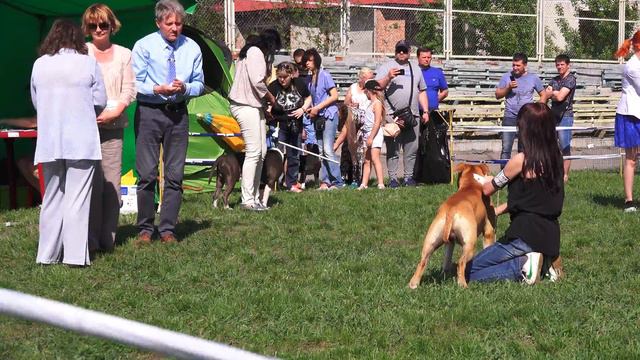 C0060 - Харьков САС 5 мая 2018 стафы смотреть онлайн