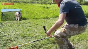 Мотокоса FORTE БMK-2553